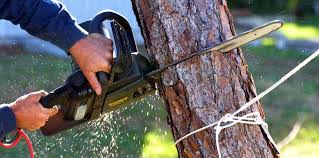 Best Soil Testing and Treatment  in Red Boiling Springs, TN