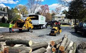 Best Tree and Shrub Care  in Red Boiling Springs, TN