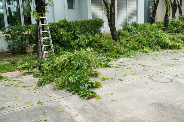 Best Lawn Watering Services  in Red Boiling Springs, TN