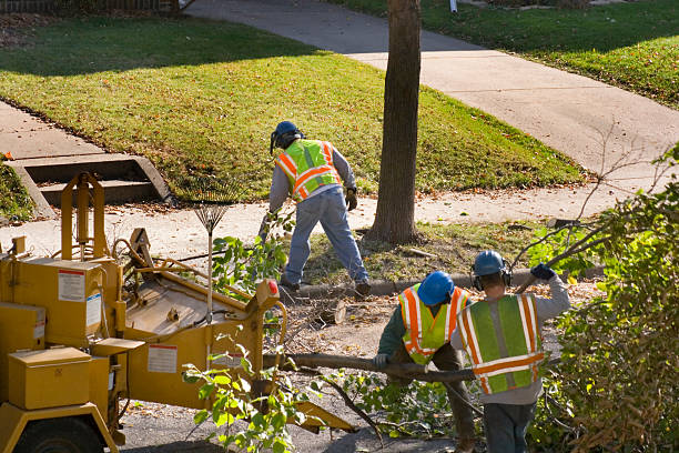 Best Utility Line Clearance  in Red Boiling Springs, TN
